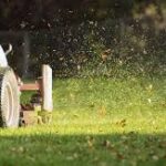 Precision Lawn Care with Grass Cutting Services in Edmonton