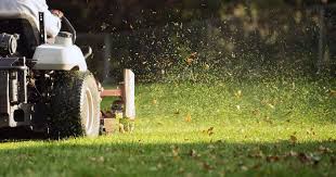 Precision Lawn Care with Grass Cutting Services in Edmonton